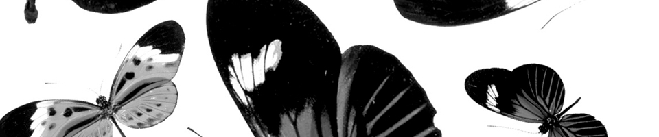 KLASSE ON BEATPORT